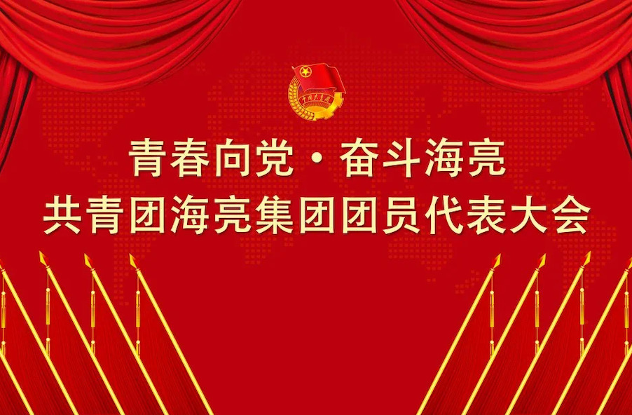 青春向黨 · 奮斗海亮丨共青團海亮集團有限公司團員代表大會召開